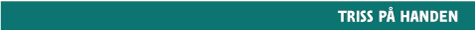 triss.jpg (5329 bytes)