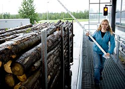 Seija Alahonko mter virkeslasten som anlnt till Kaskfabriken. Foto. JANNE RUOTSALAINEN