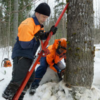 "Skogens mn r hrda" Foto: Patrik Lindstrm